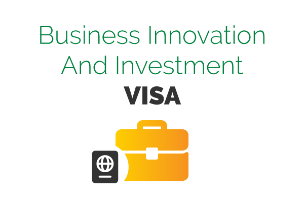 visa 5 b